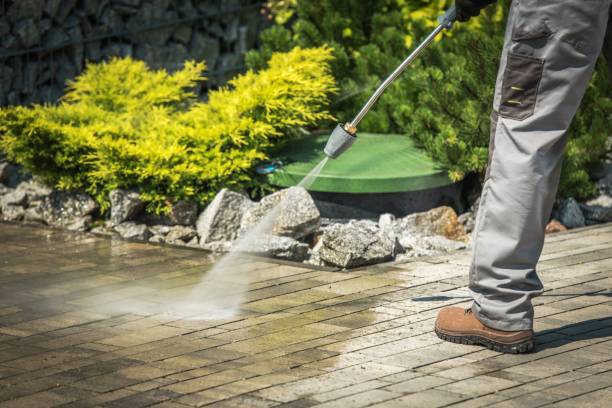 Best Sidewalk and Walkway Cleaning  in Farmington, MO